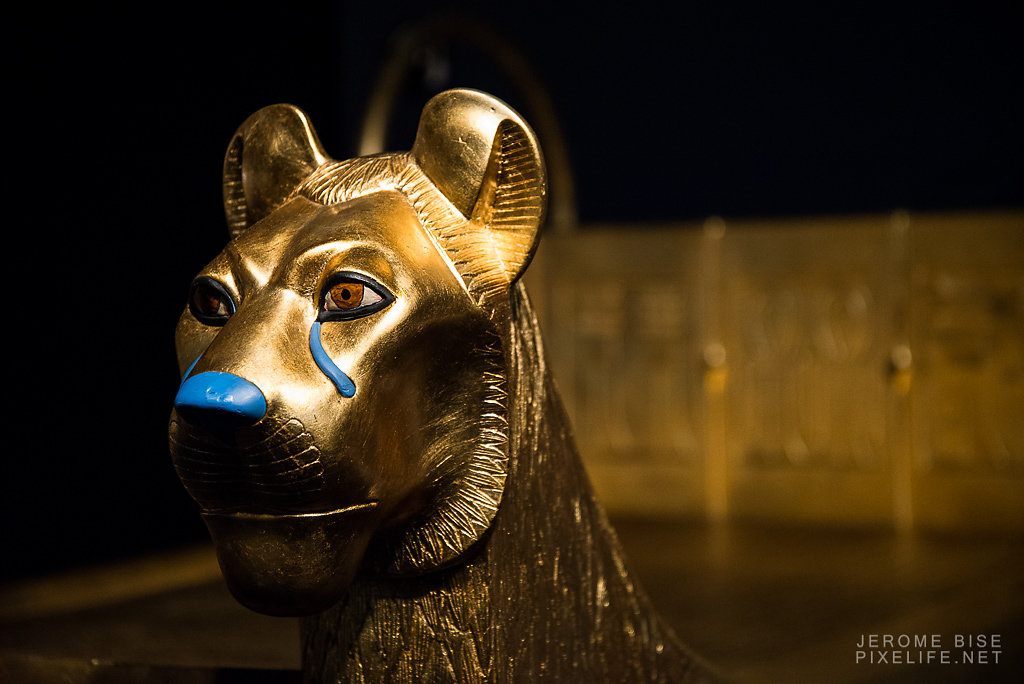 Toutankhamon-224-WEB.jpg